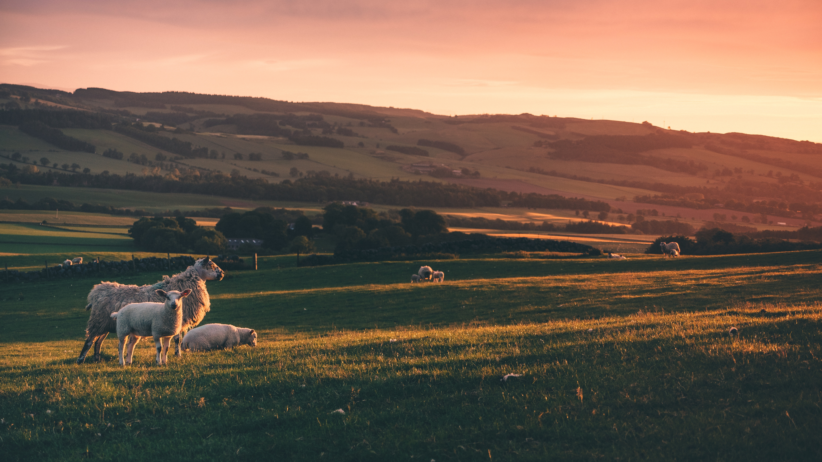 Digestible Functional Keratin and Why You Need It